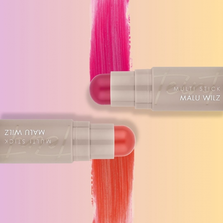 Bâton Multi Stick