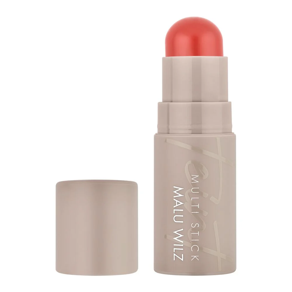 Bâton Multi Stick